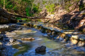 bouldin creek real estate